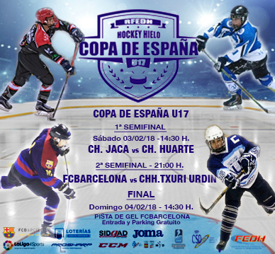 , Final Four de la Copa de España U17 de Hockey Hielo en Barcelona, Real Federación Española Deportes de Hielo